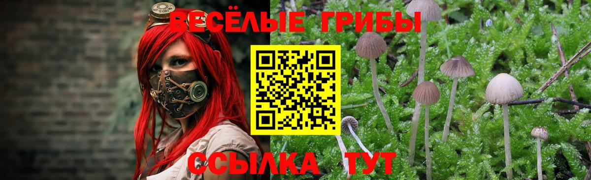 Галлюциногенные грибы мицелий  Галлюциногенные грибы мухоморы  Малоярославец  Вход с VPN 
